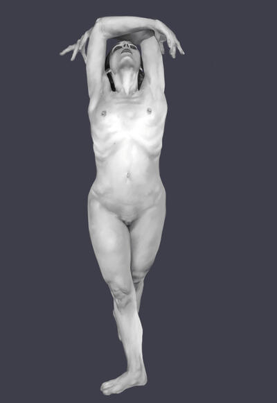 Figure sudy
